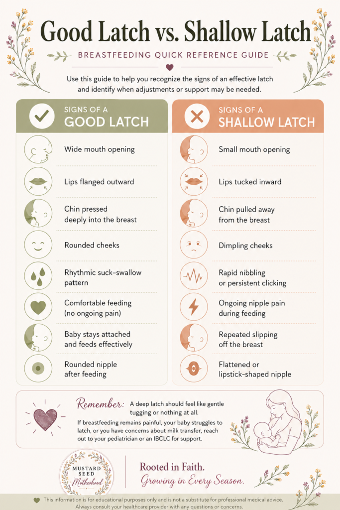 Side-by-side infographic comparing the signs of a good latch versus a shallow latch during breastfeeding, including positioning, baby cues, nipple appearance, and feeding comfort.